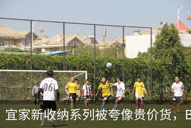 宜家新收纳系列被夸像贵价货，BILLY都要让位